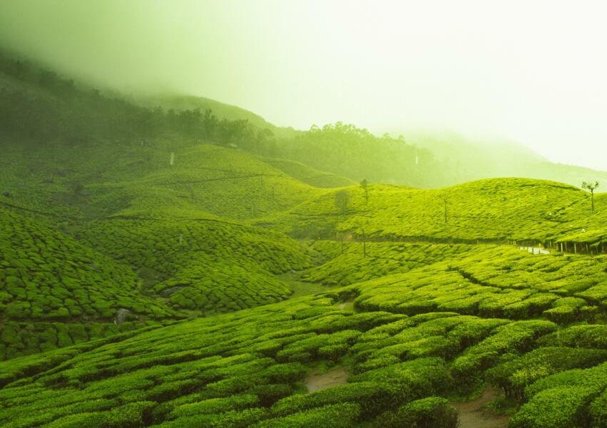 Places to visit in March in India