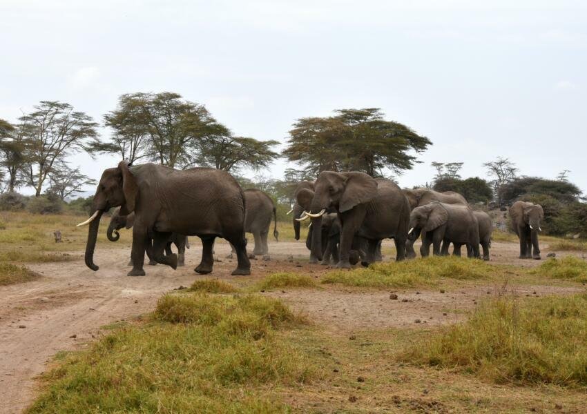Best Wildlife Sanctuaries In Uttarakhand