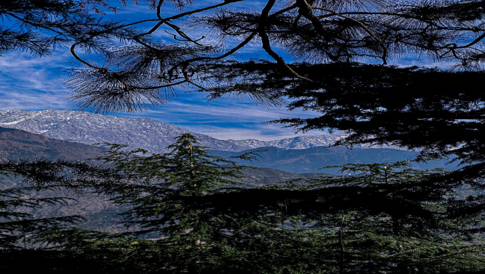 Lakes in Dharamshala