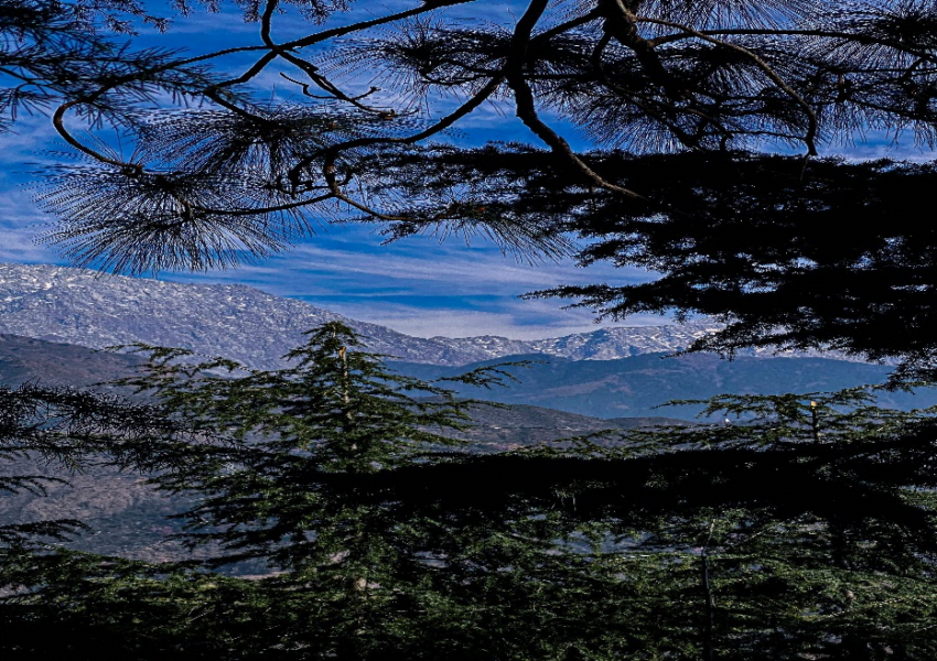 Lakes in Dharamshala