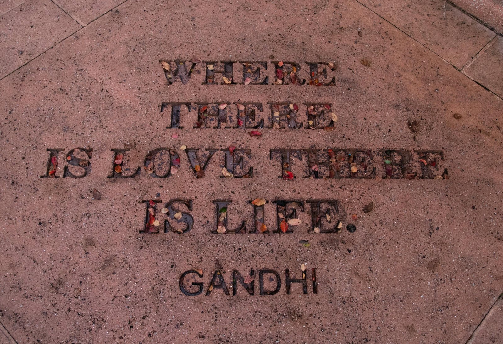 Quote by gandhi
