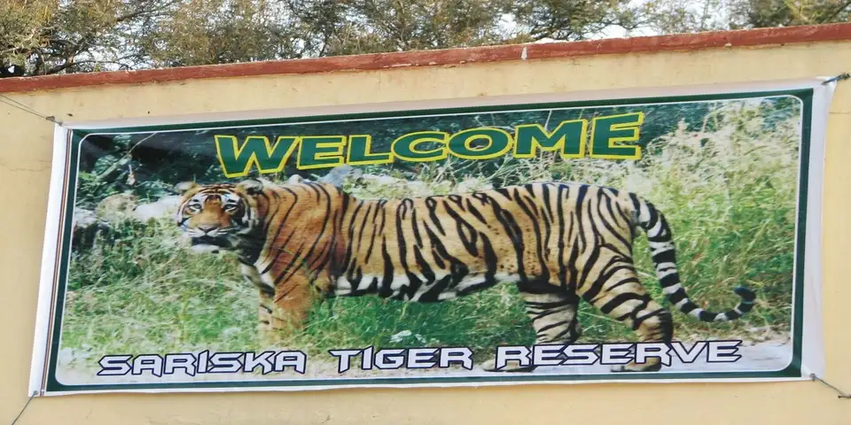 Sariska Tiger Reserve