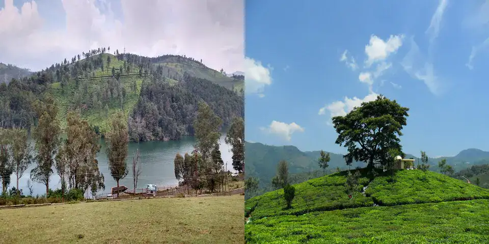 glenmorgan and kotagiri glenmorgan and kotagiri