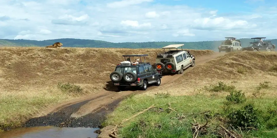 jeep safari