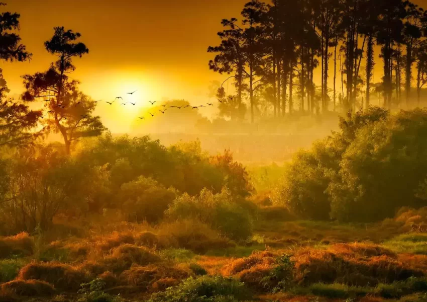 national parks in rajasthan