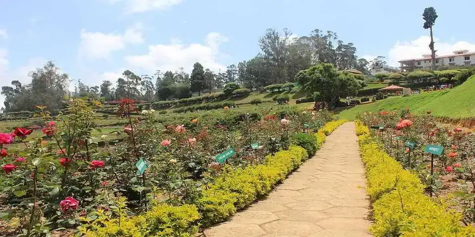 rose garden ooty rose garden ooty