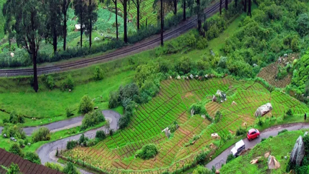 unique things to do in ooty