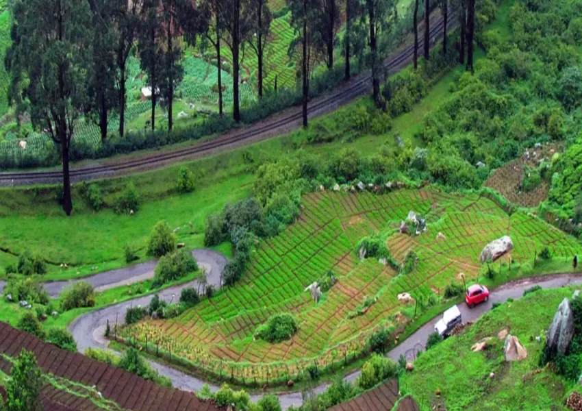 unique things to do in ooty