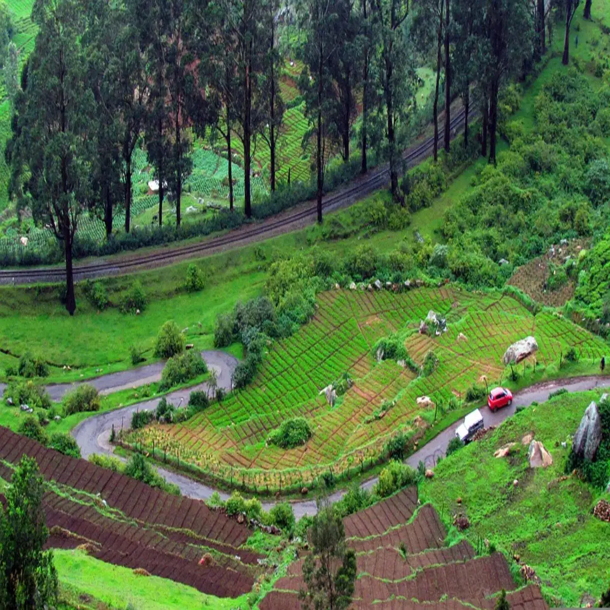 35 Unique Things To Do In Ooty In 2023